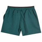 Adidas Terrex Multi Light Shorts in Aurora Ivy