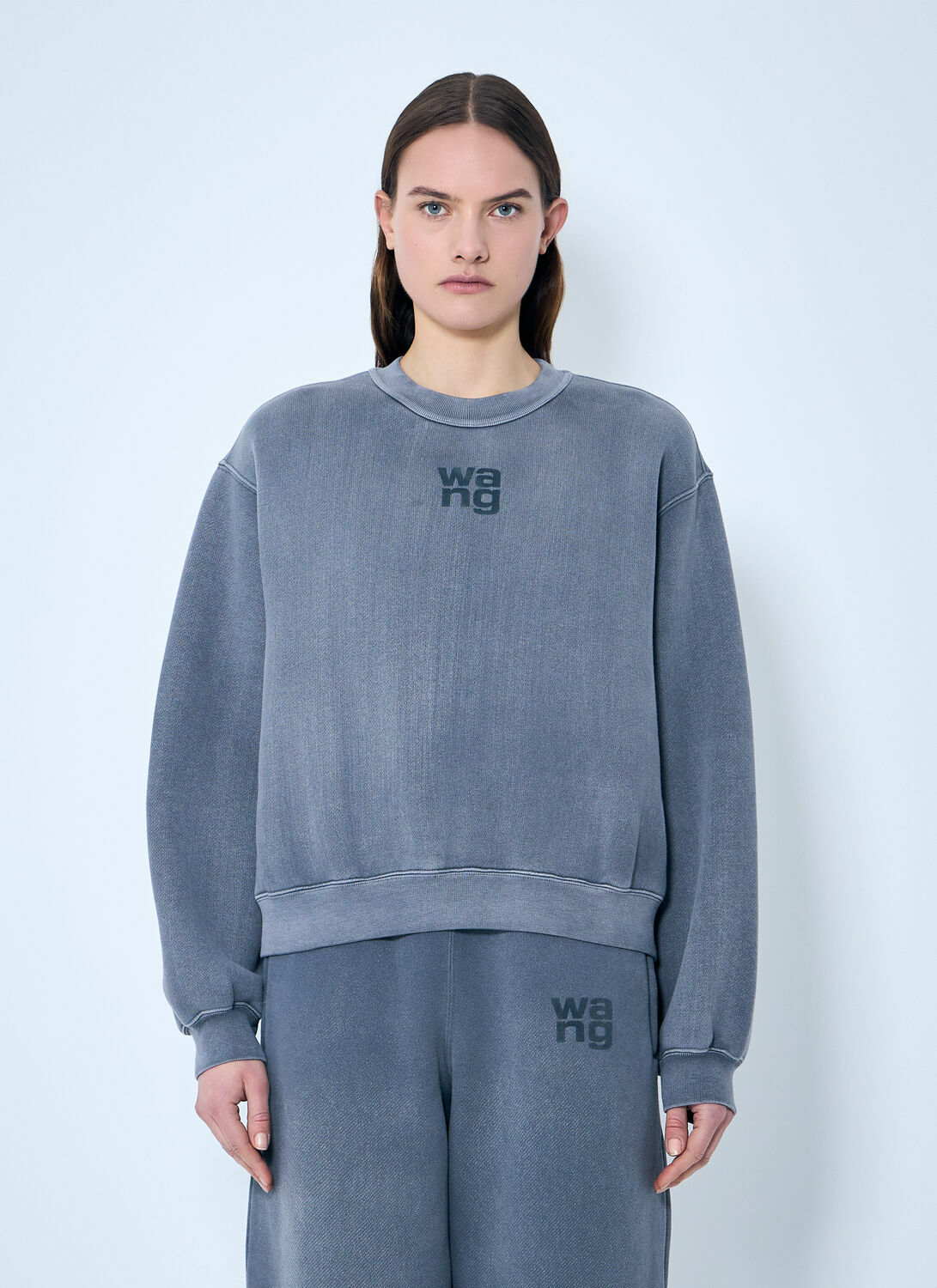 Alexander Wang Essential Classic Sweatshirt