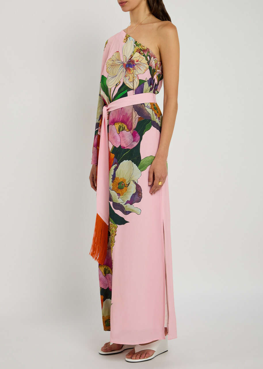 Borgo DE Nor Leia Floral-print Chiffon Maxi Dress Pink