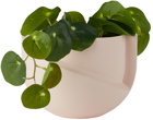 Light and Ladder Pink Vayu Planter