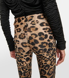 Blumarine Leopard-print jersey leggings