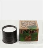 Loewe Home Scents Large Roasted Hazelnut scented candle