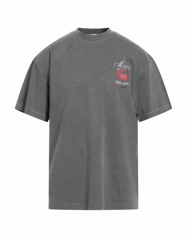 Photo: Msgm Mens T-shirt in Grey
