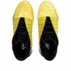 Adidas Harden Volume 7_CHP Sneakers in Black/Talk