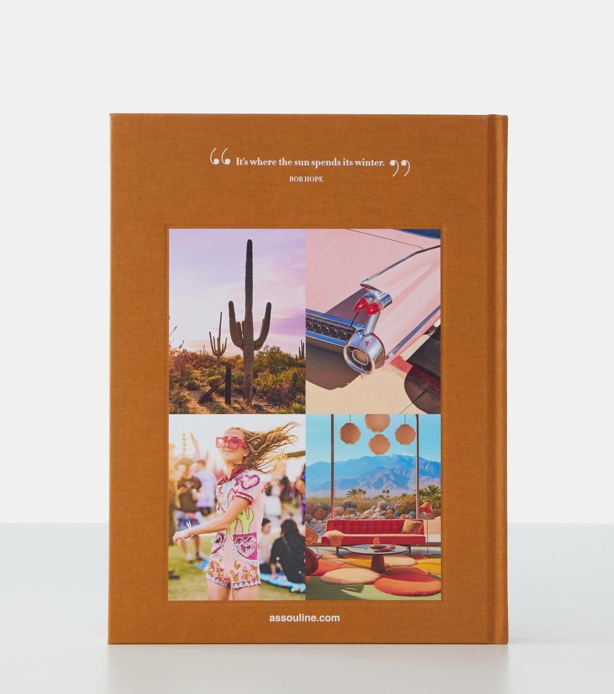 Assouline Palm Springs book