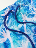 Vilebrequin - Paradise Printed Recycled-Shell Swim Shorts - Blue