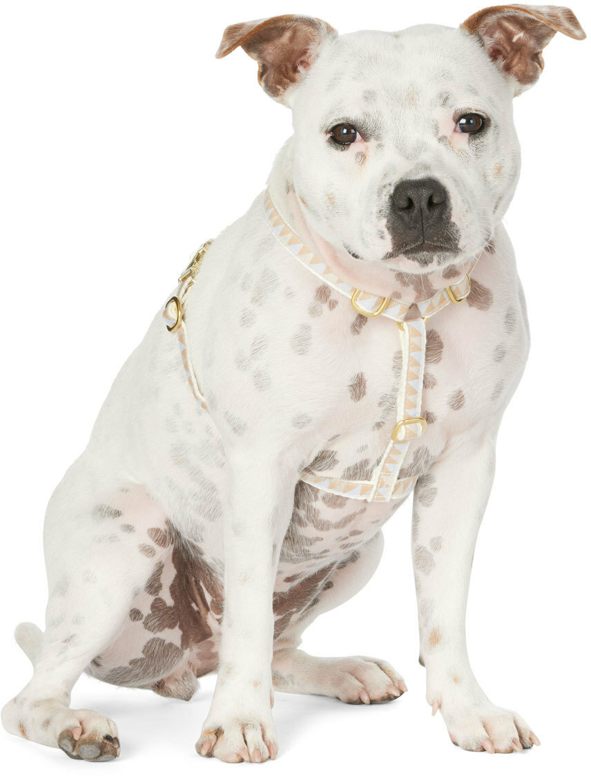 See Scout Sleep Beige & Gray Small Nice Grill Standard Harness