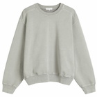 Lady White Co. Men's Mini Crewneck Sweatshirt in Pigment Chalk