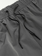 CDLP - Short-Length ECONYL Swim Shorts - Gray