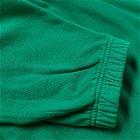 Colorful Standard Classic Organic Sweat Pant in Kelly Green
