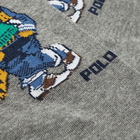 Polo Ralph Lauren Varsity Tiger Sock - 2 Pack