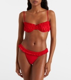 Faithfull Esterel bikini top