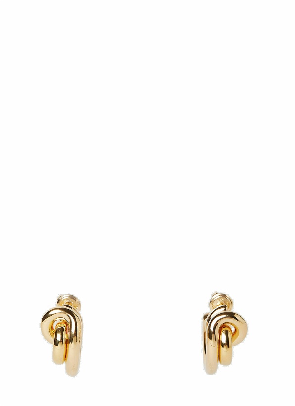 Photo: Loop Hoop Earrings in Gold