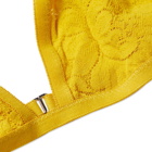Araks Women's Bryce Lace Triangle Bralette in Yellow