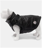 Moncler Genius - x Poldo Dog Couture dog coat with harness