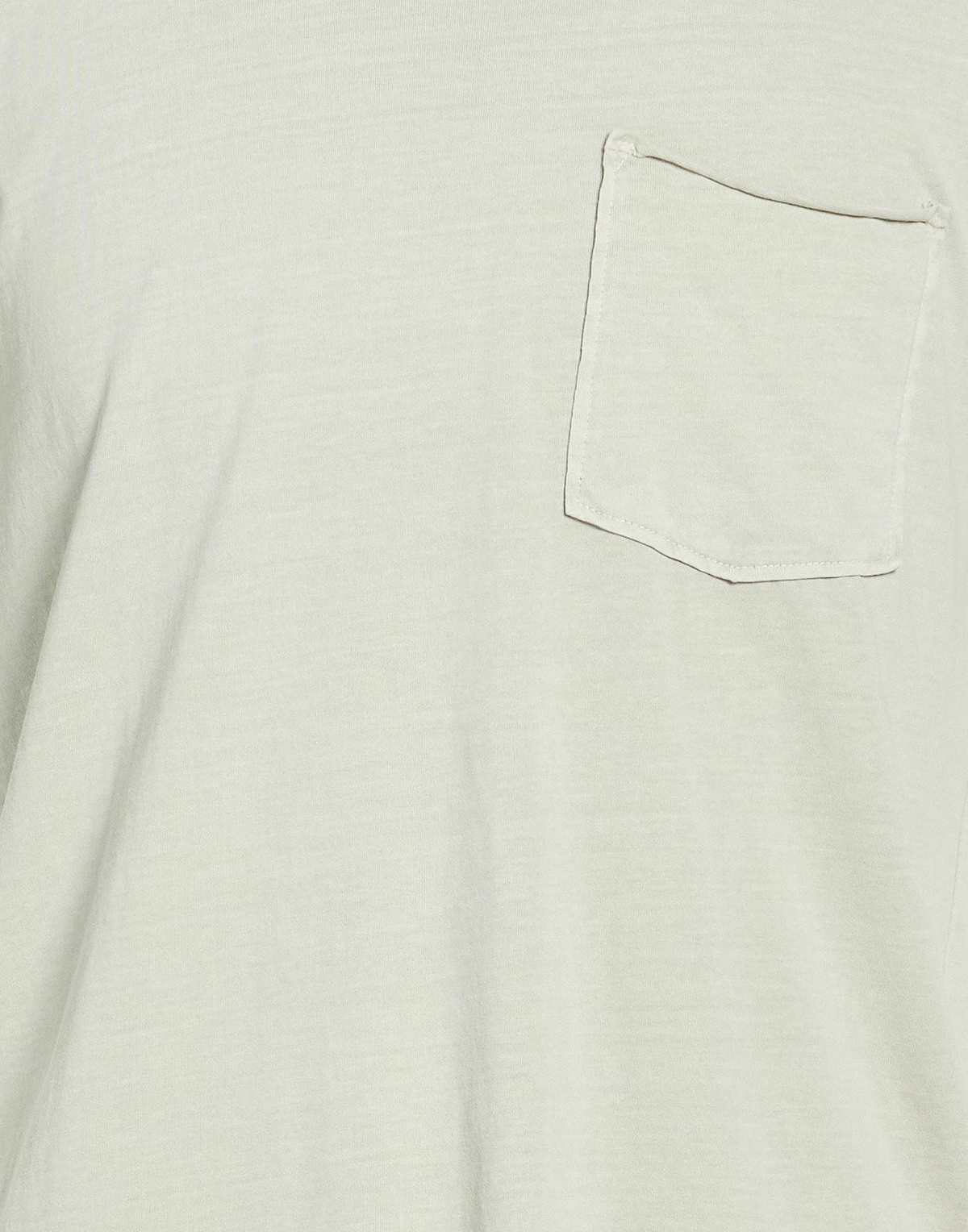 Paige Mens T-shirt Light in Grey