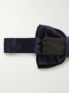 Lanvin - Pre-Tied Velvet and Silk Bow Tie