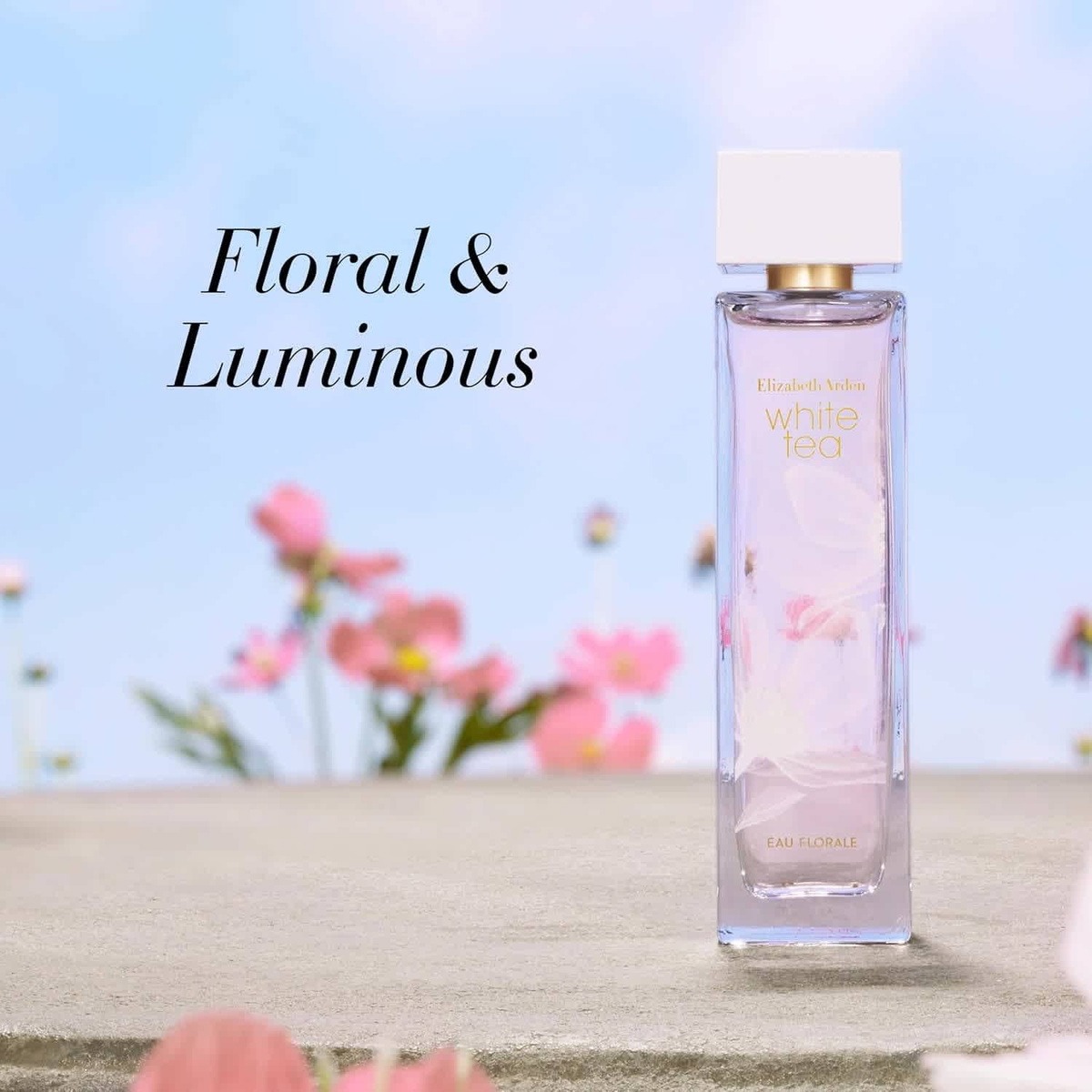 Elizabeth Arden Ladies White Tea Eau Florale EDT Spray 3.4 oz Fragrances 085805260156