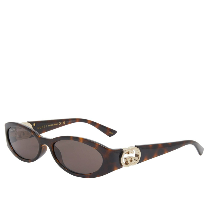 Photo: Gucci Women's Eyewear GG1660S Sunglasses in Havana/Brown 