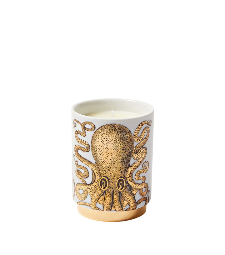 Photo: Fornasetti Polipo Immaginazione scented candle