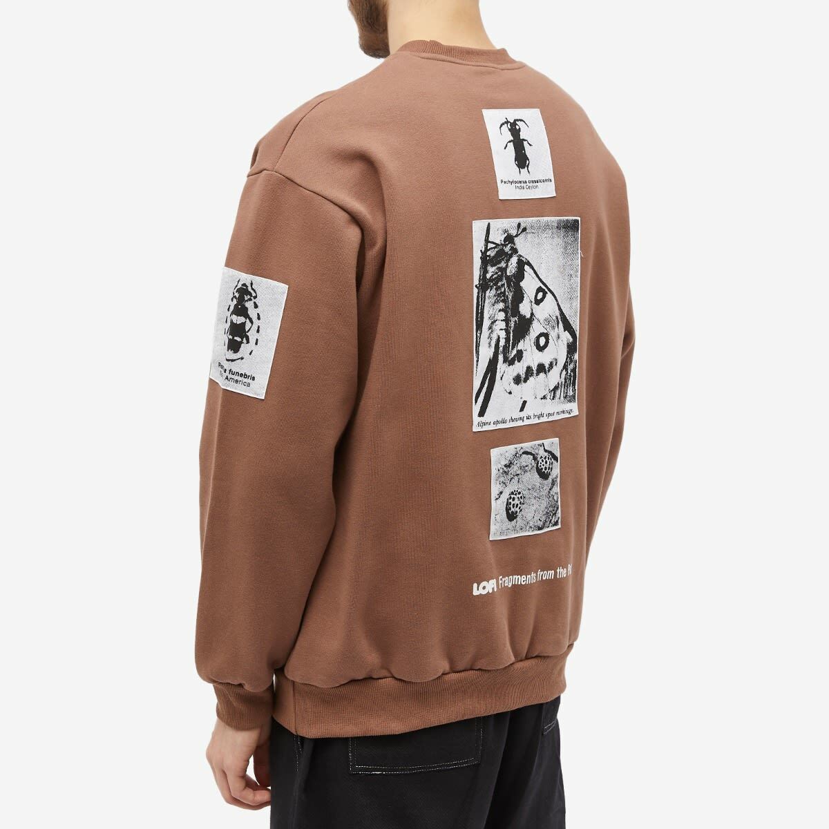 Lo-Fi Men's Fragment Crew Sweat in Bark