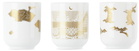 Floraiku Secret Teas & Spices Candle Set, 4.6 oz