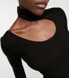 Petar Petrov Fiz cutout ribbed-knit silk top