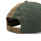 Dime Men's Split Low Pro Cap in Walnut 