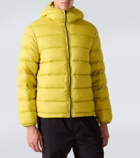 C.P. Company Mille Goggles down jacket