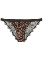 Love Stories Wild Rose Leopard-print Lace Briefs