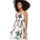 Dolce and Gabbana Multicolor Tropical Rose Print Dress