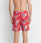 NN07 - Jules Printed Swim Shorts - Red