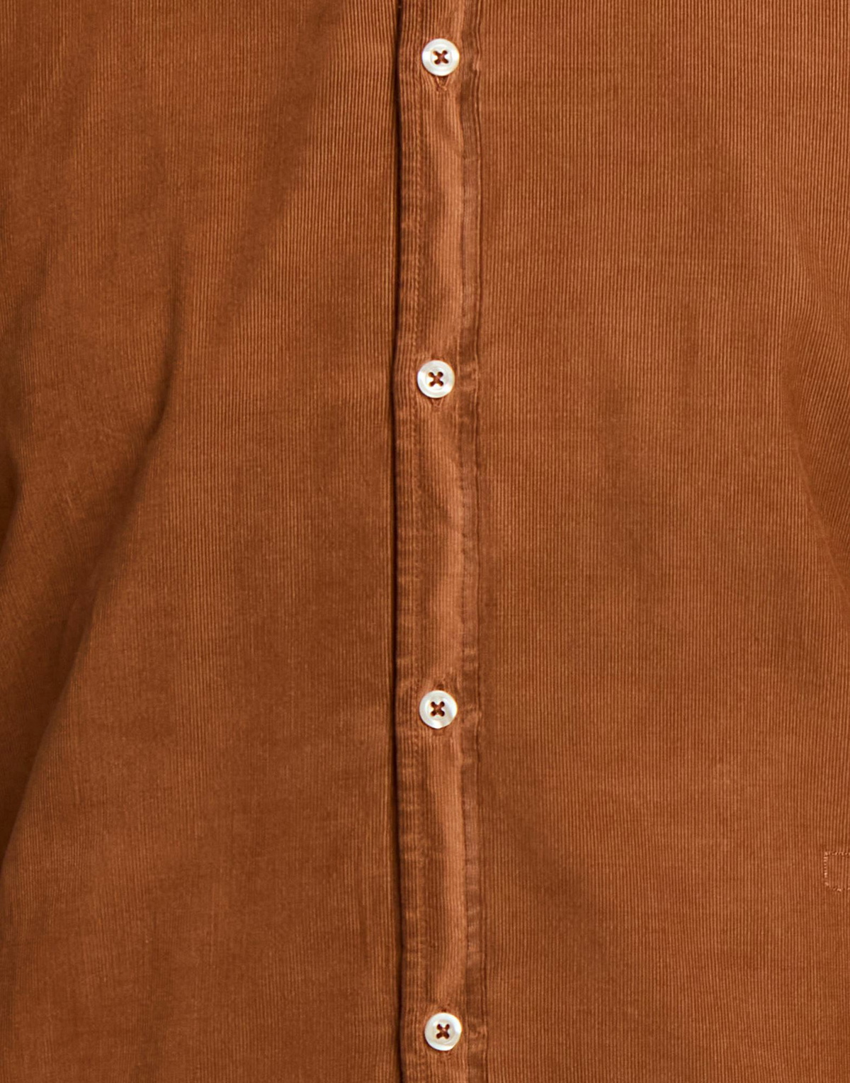 Massimo Alba Mens Shirt in Tan