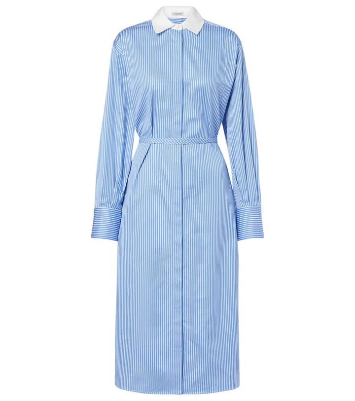 Photo: Altuzarra Floyd pinstripe cotton poplin shirt dress