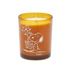 Peanuts Candle - Blooms in Jasmine/Iris