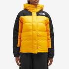 The North Face Women's Hmlyn Down Parka Jacket in Yellow