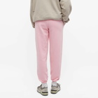 Pangaia 365 Track Pant in Sakura Pink