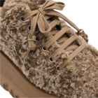 Casadei Camel Sneakers