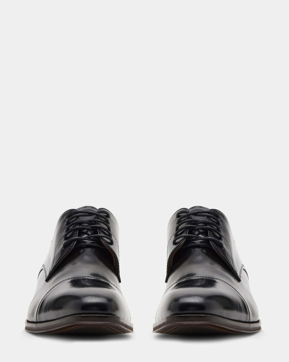 Steve Madden Planche Dress Shoes in Black