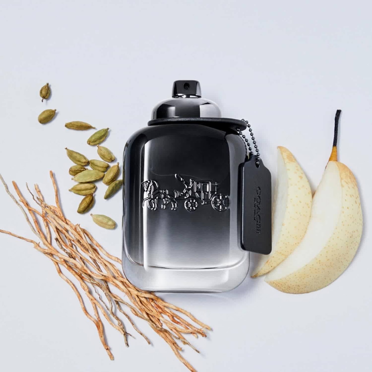 Coach New York / Coach EDT Spray 3.3 oz (100 ml) (m)