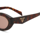 Prada Eyewear Women's 26ZS Sunglasses in Root Tortoise/Light Brown 