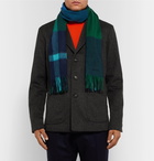 Paul Smith - Amanda Fringed Checked Cashmere Scarf - Green