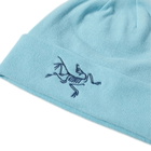 Arc'teryx Embroidered Bird Toque in Glissade