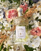Guerlain Unisex Aqua Allegoria Nerolia Vetiver EDT Spray 4.2 oz Fragrances 3346470144132