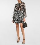 Dolce&Gabbana - Zebra-print silk chiffon minidress