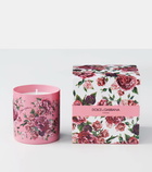 Dolce&Gabbana Casa Rosa Moschata scented candle