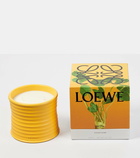 Loewe Home Scents Wasabi Medium scented candle