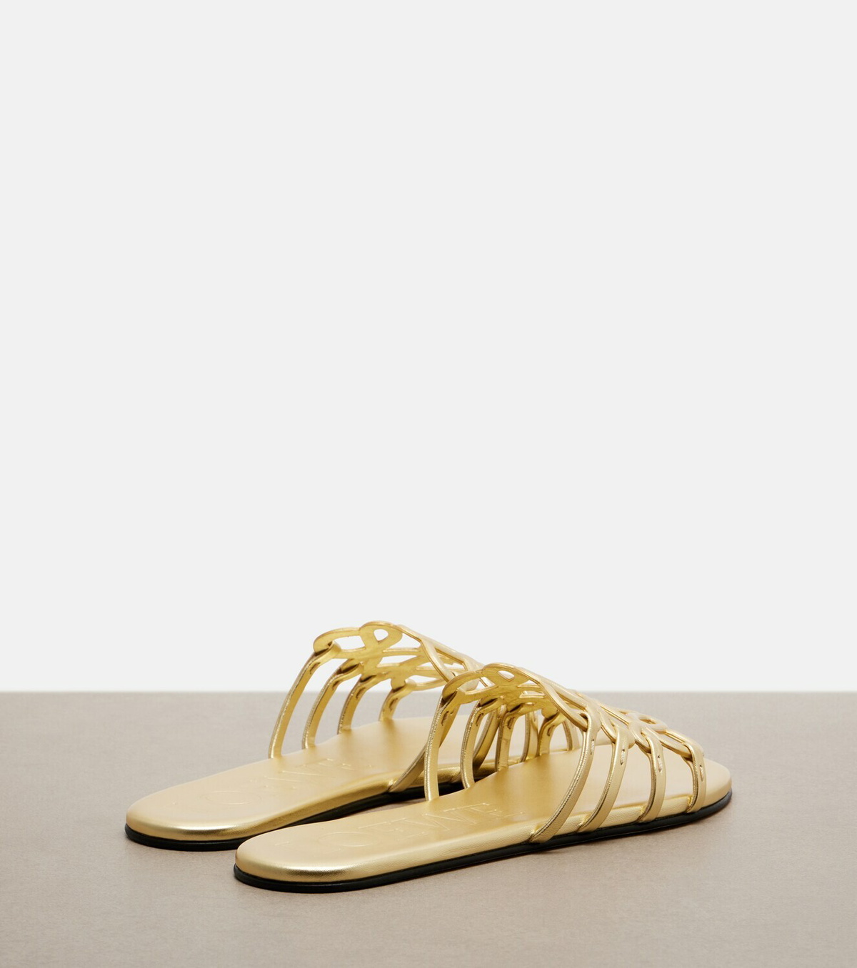 Loewe Paula's Ibiza Petal Anagram leather slides
