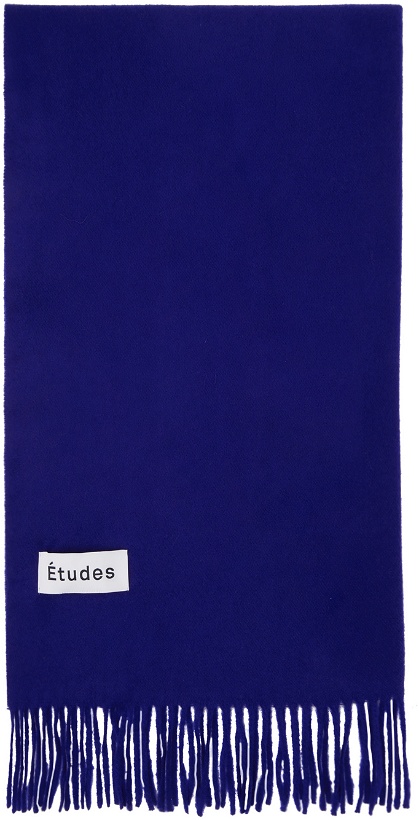 Photo: Études Blue Magnolia Scarf