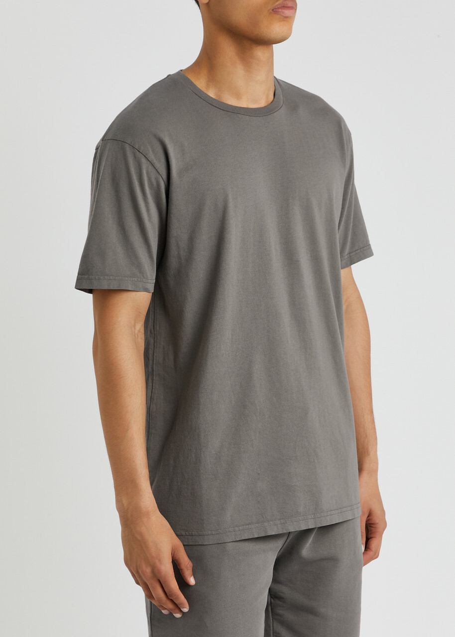Colorful Standard Cotton T-shirt Grey